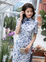 清雅印花斜襟改良旗袍連衣裙